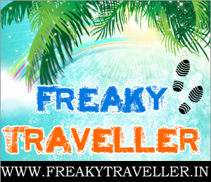 freakytraveller.in